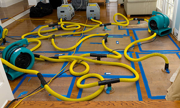 Professional Flood Damage Restoration technician working in Evans City, PA