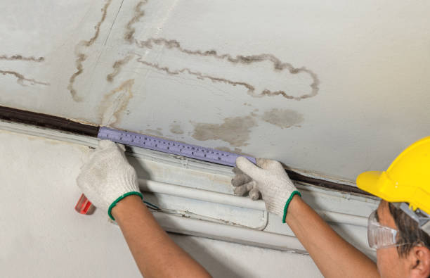Affordable Water Damage Repair solutions in Evans City, PA